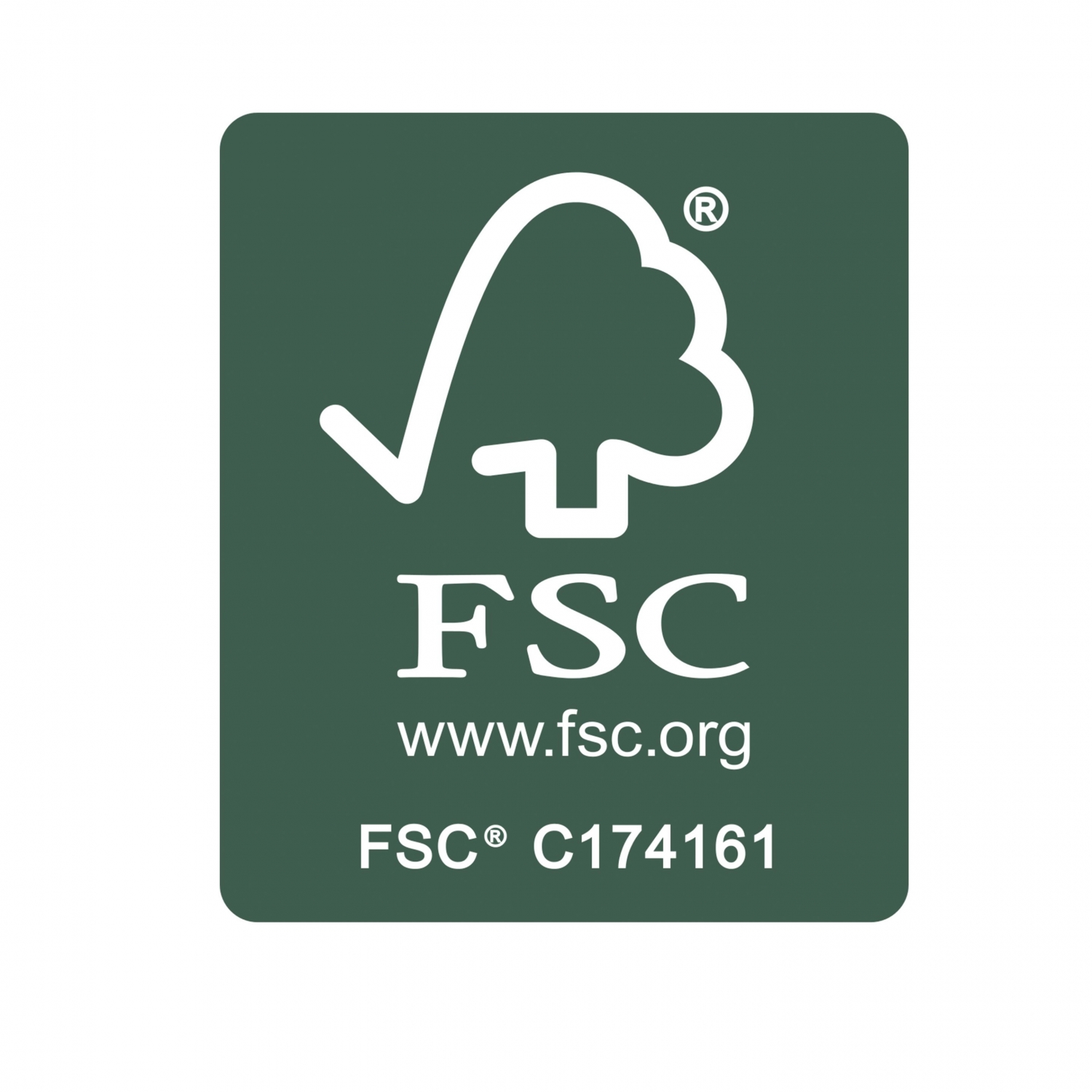 Imagine Produs Magneti 60 x 20 x 13 mm Magnetoplan Design Wood Set 4 Bucati Walnut