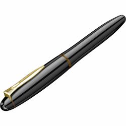 Stilou 18k Nib Platinum Izumo Tamenuri Biwatame GT 0.5 M Nib