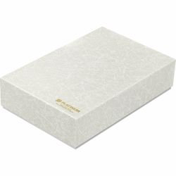 Stilou 18k Nib Platinum Izumo Aizu Maki-e Aurora GT 0.5 M Nib