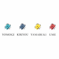 Set 4 Calimara Cerneala 20 ml Sailor Manyo Yomogi Kikyou Yamabuki Ume
