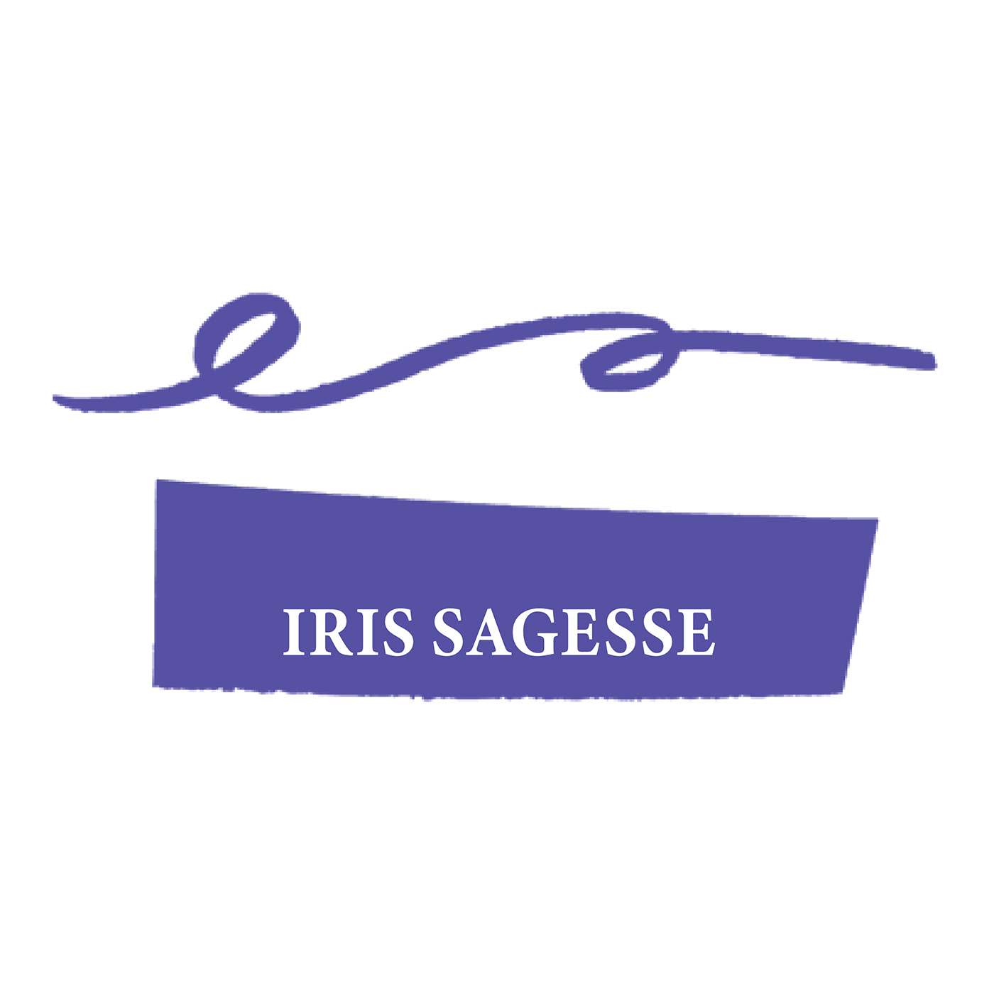 Imagine Produs Calimara Cerneala 30 ml Jacques Herbin Writing The Pearl of Inks Iris Sagesse