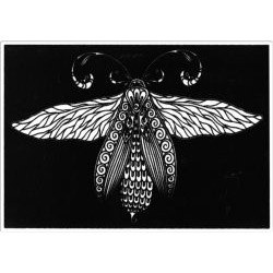 Plansa de Catifea pentru Colorat Acvila Contrast Velvet Fluturi 2