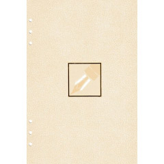 - Crem Lined - 170 pagini 80 g mp