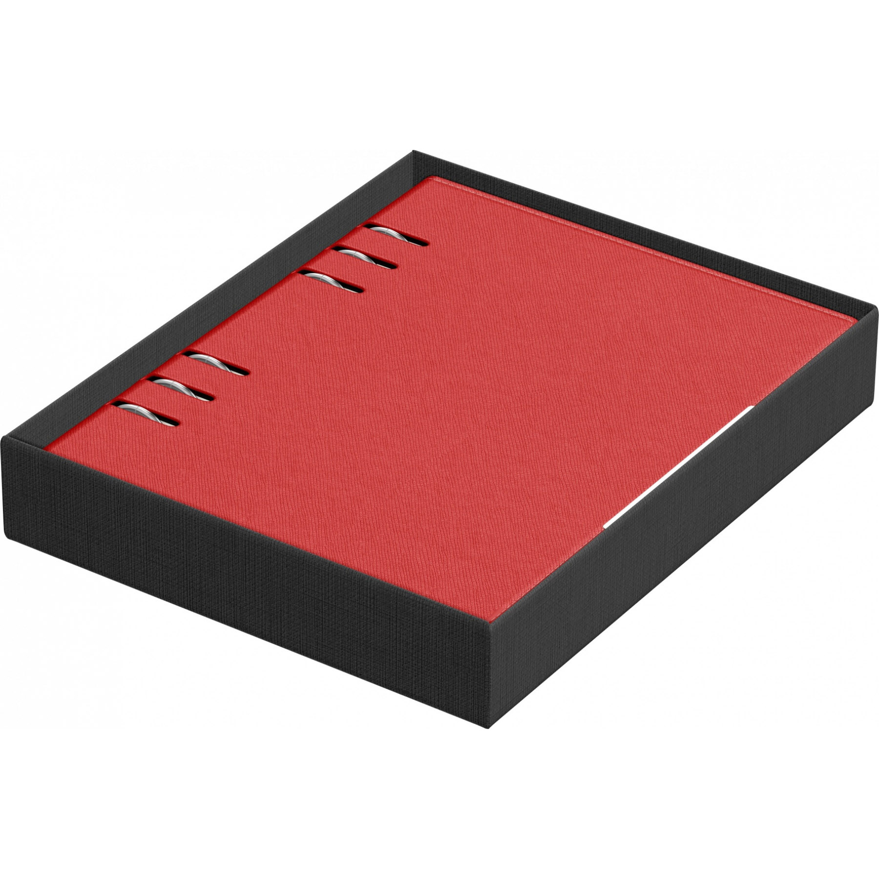 Imagine Produs Organizer A5 6 inele Precision Alicante 101307 Red - Ivory Lined - 290 pagini 80 g mp