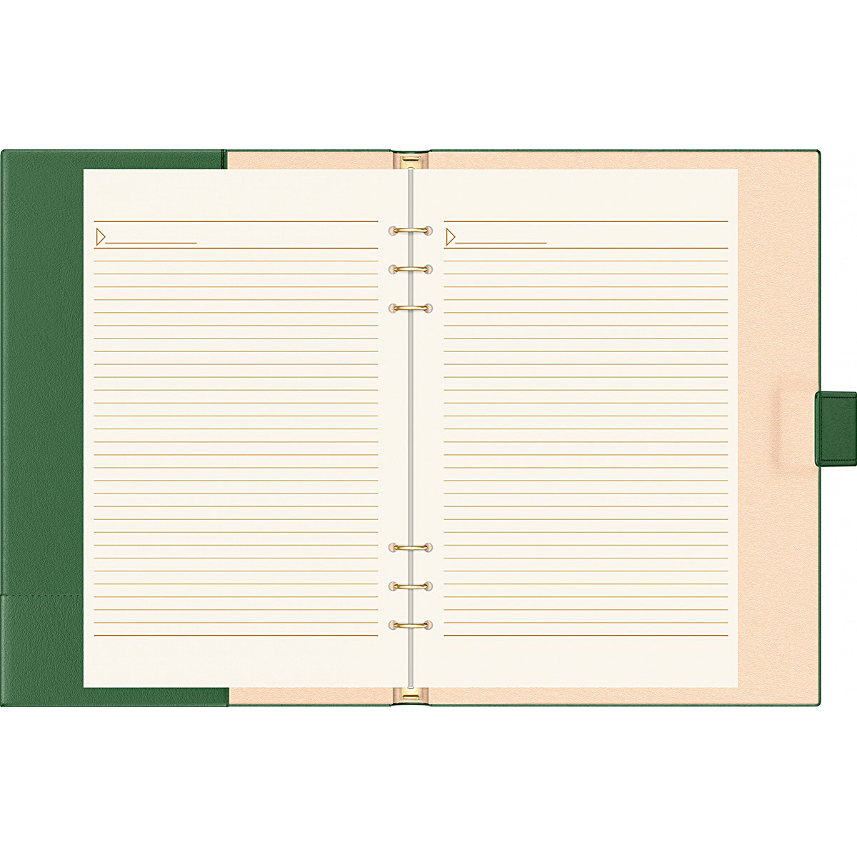 Imagine Produs Organizer A4 6 inele Precision Novaskin 102302 Kelly Green - Crem Lined - 170 pagini 80 g mp