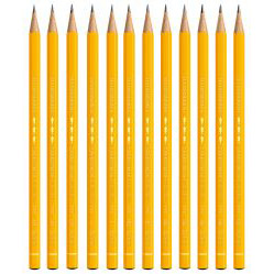 Set 12 Creioane Grafit Caran dAche Technograph Pencil