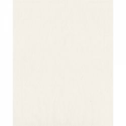 Top Coli Hartie 265 x 330 mm Jaques Herbin Traditional Papers Chinese - Ivory Plain - 25 foi 30 g mp