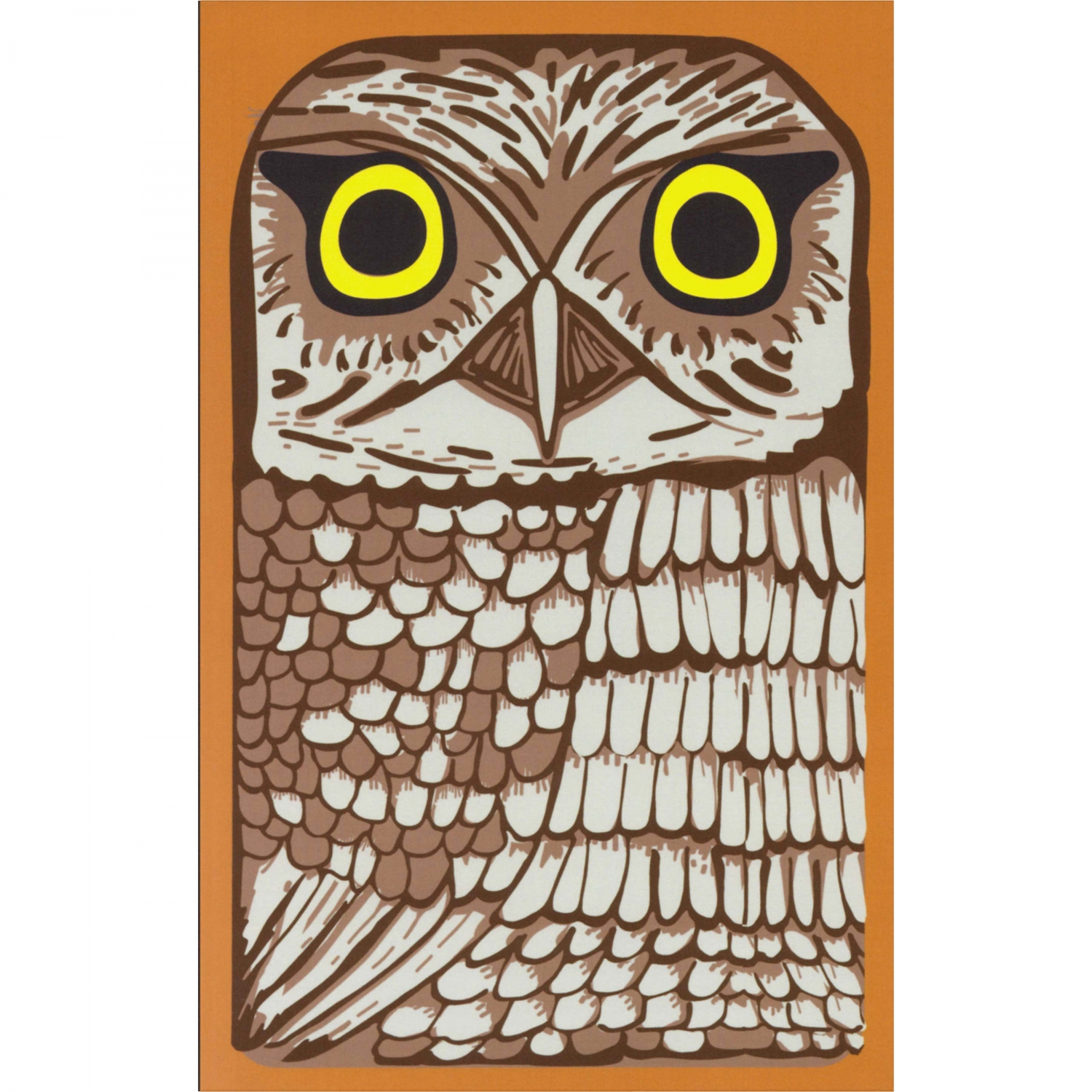 Imagine Produs Caiet A5+ Retro 51 Classic Notebook Owl Rescue - White Dot Grid 5 mm - 144 pagini 100 g mp - RNB-2376-C