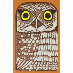 Caiet A5+ Retro 51 Classic Notebook Owl Rescue - White Dot Grid 5 mm - 144 pagini 100 g/mp - RNB-2376-C