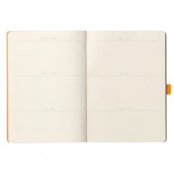 Caiet Personalizabil pentru Organizare A5 Rhodia Rhodiarama Softcover Goalbook Gold - Ivory Dot Grid 5 mm - 240 pagini 90 g/mp - 117811C